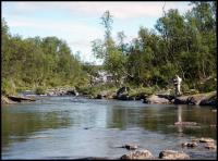 Bifogad bild: norge2010augusti104.jpg